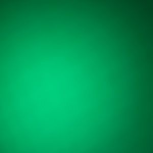 Meet your Posher, Sonia