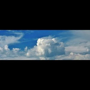 Meet your Posher, Molly