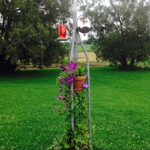 Meet your Posher, Elizbeth