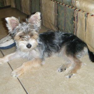 Meet your Posher, Kenny