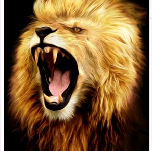 Meet your Posher, Joaquin