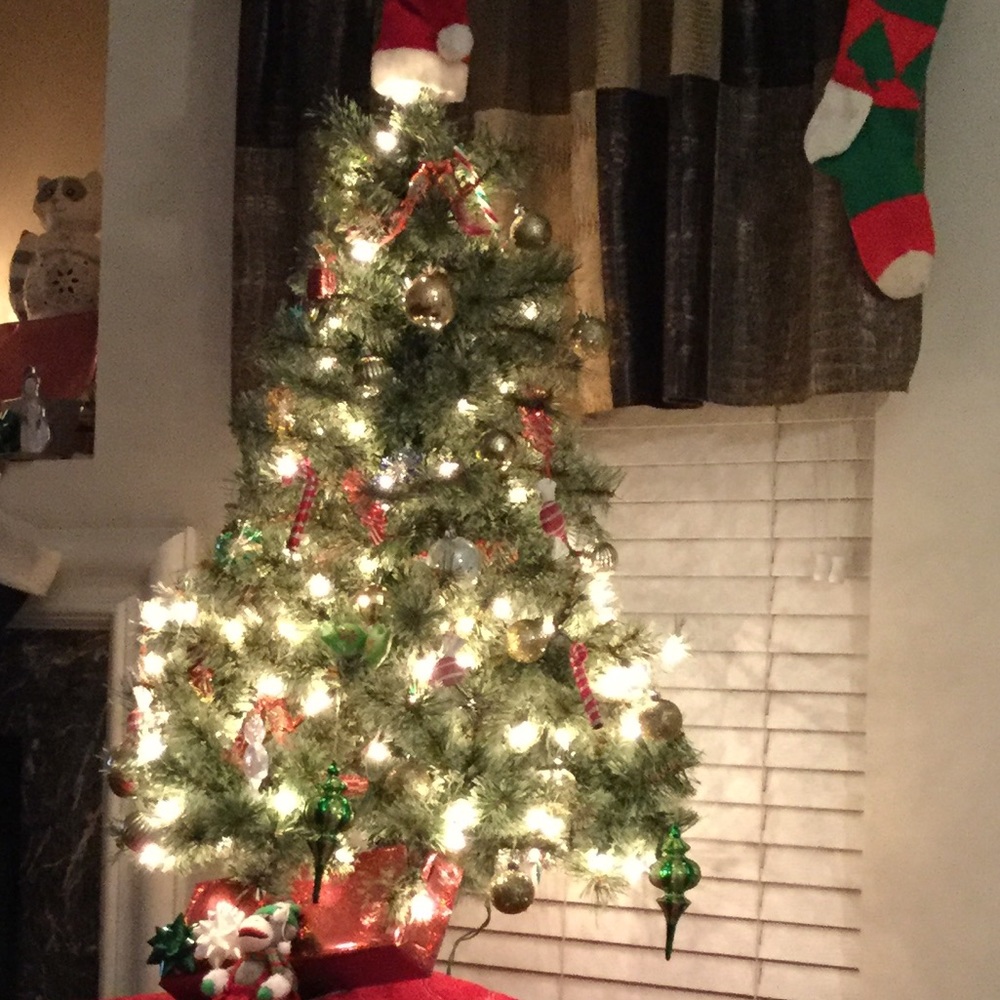 Meet your Posher, Heather