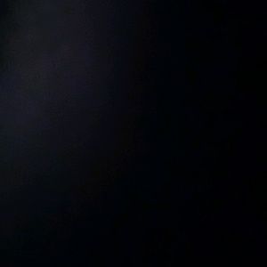 Meet your Posher, Wilbur