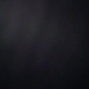 Meet your Posher, Willie