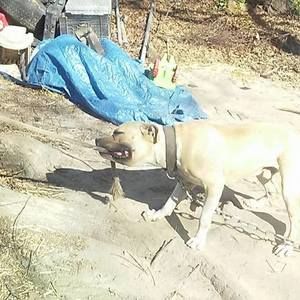 Meet your Posher, Maceo