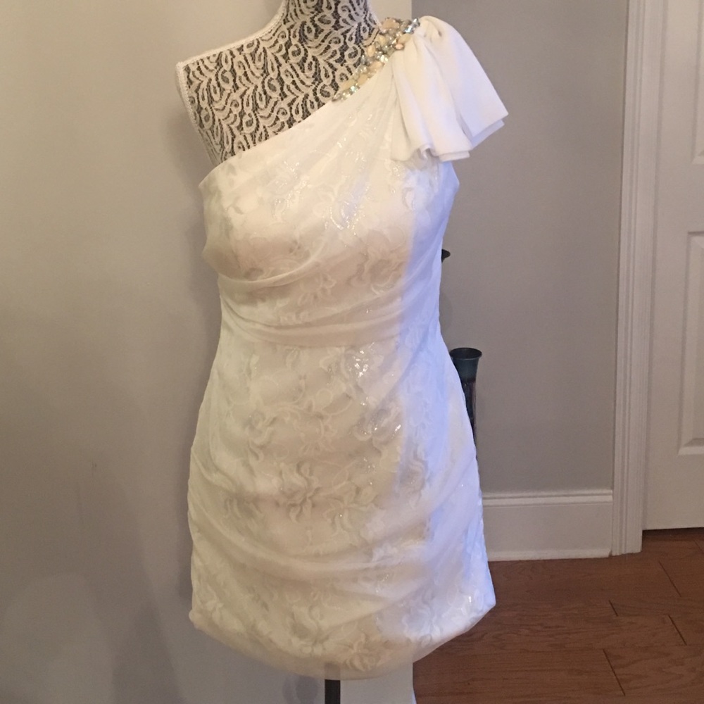 White Terani Dress w/ beautiful silver under tones