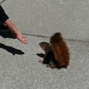 Meet your Posher, Daniel