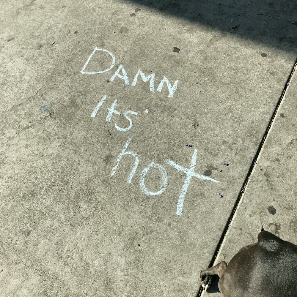 Meet your Posher, Jacob