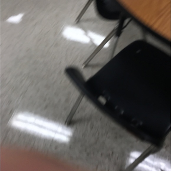 Meet your Posher, Presley - Picture 1 of 1