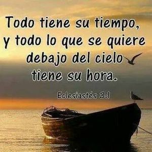 Meet your Posher, Magda