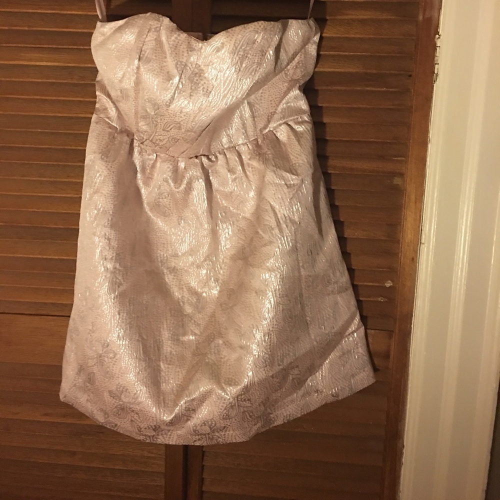 Tulle pink and silver strapless dress