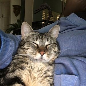 Meet your Posher, Marianne