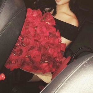 Meet your Posher, Luz