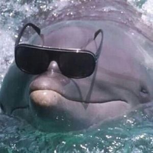 Meet your Posher, Elijah