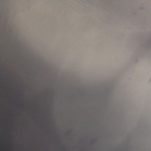 Meet your Posher, Gavin