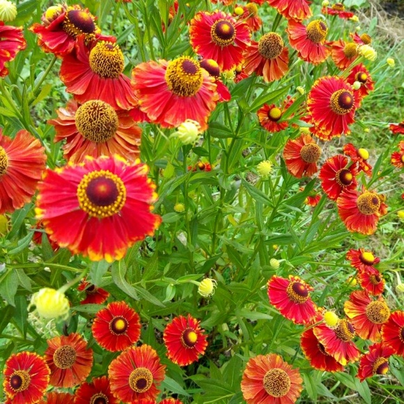 Meet your Posher, Marina - Picture 1 of 1