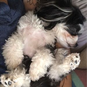 Meet your Posher, Jessica