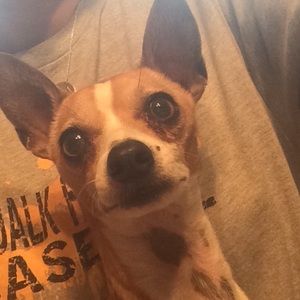 Meet your Posher, Tara