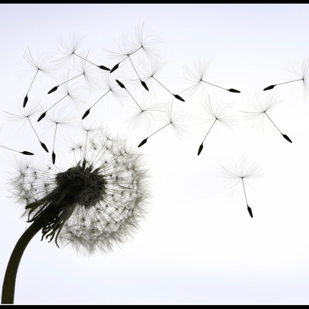 Meet your Posher, Michal