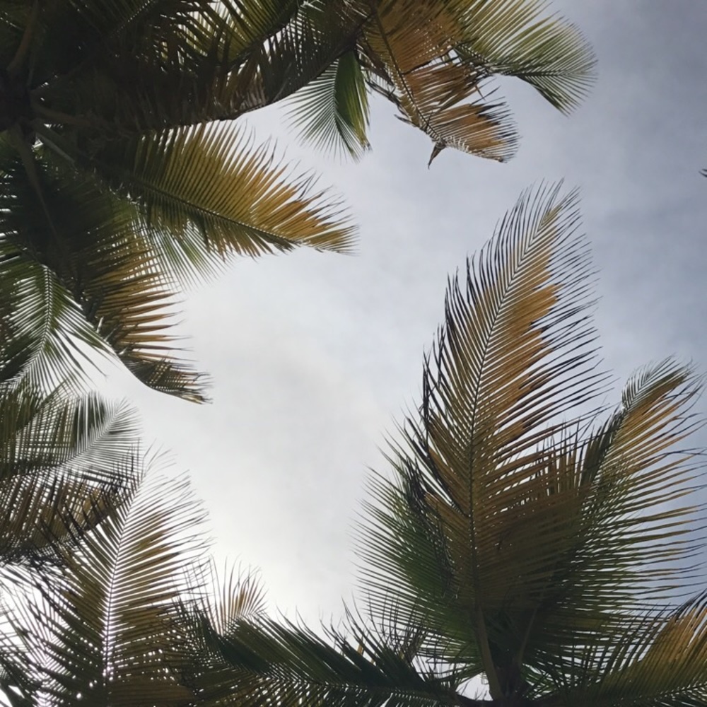 Meet your Posher, Paola