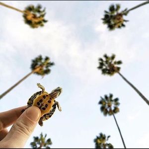 Meet your Posher, Monica