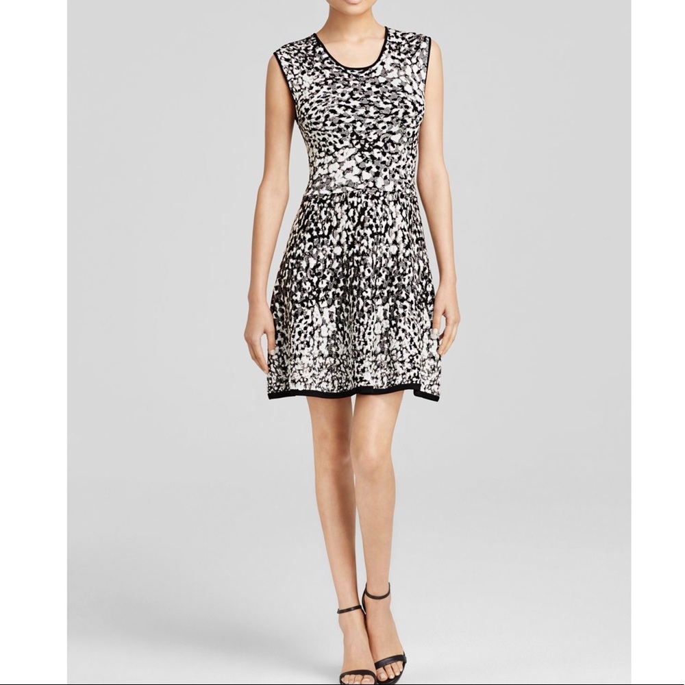 Rebecca Minkoff Fit and Flare dress