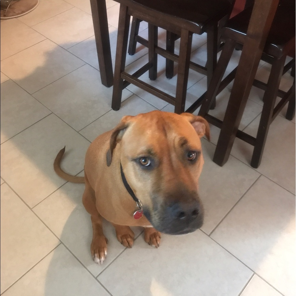 Meet your Posher, Megan