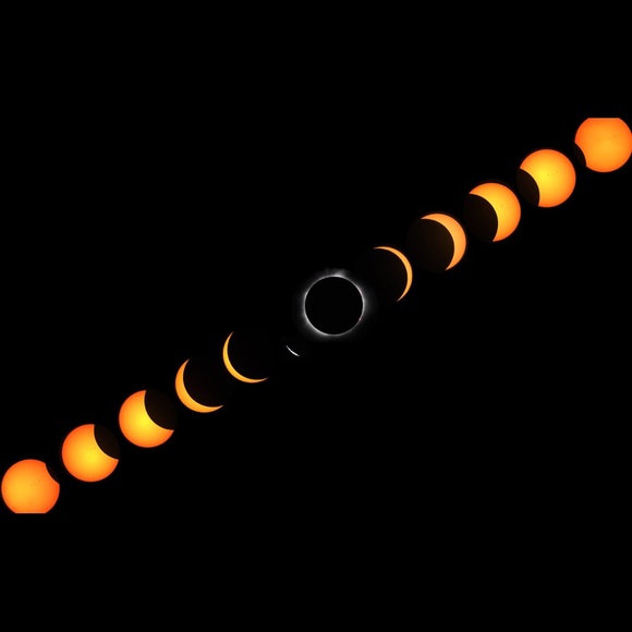 Meet your Posher, Maddie - Picture 1 of 1