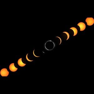 Meet your Posher, Maddie