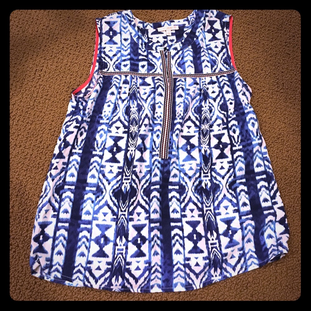 Skies are Blue Callisto embroidery top