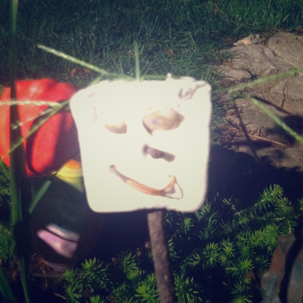 S'more person!!!!! :) ;)