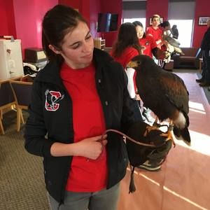 Meet your Posher, Ruby