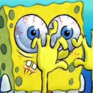 Meet your Posher, Donovan