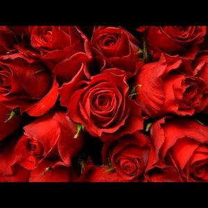 Meet your Posher, Kiara