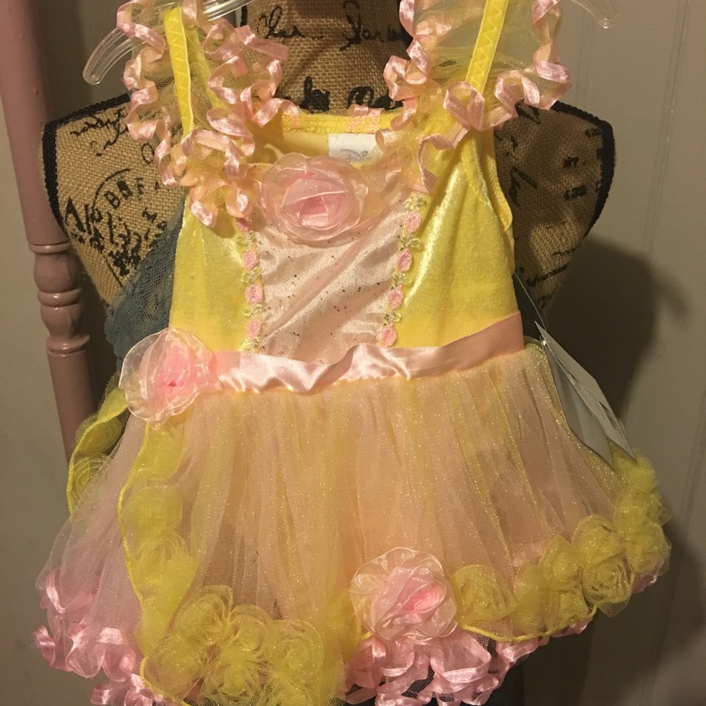 NWT Disney princess dress