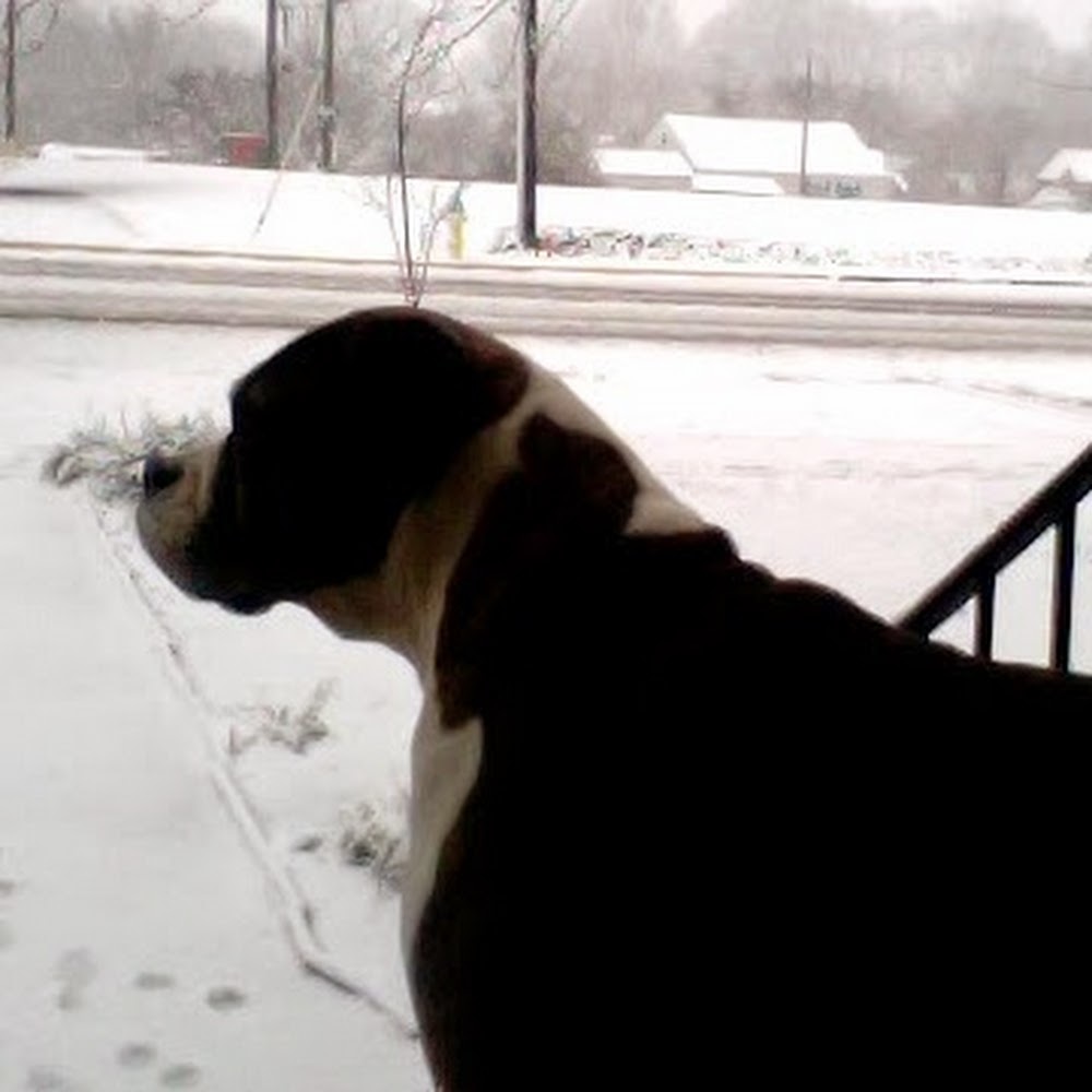 Meet your Posher, Karen