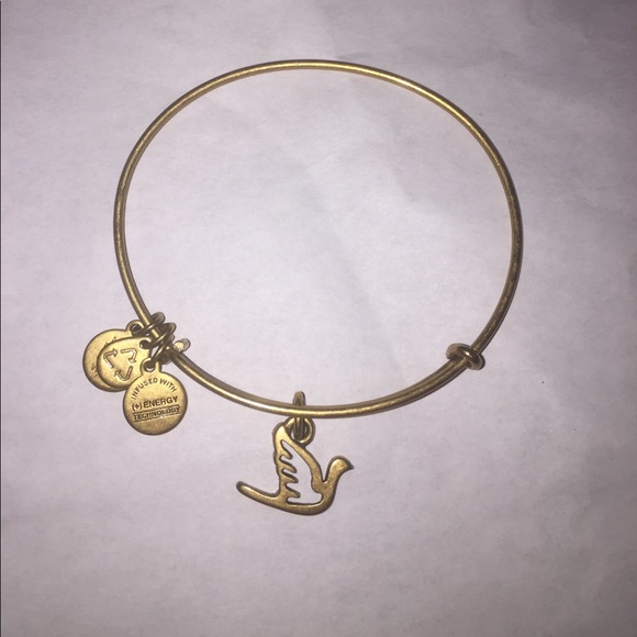 alex and ani charm bracelets - Picture 5 of 6