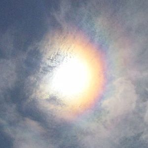 Meet your Posher, Eileen