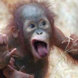 Meet your Posher, Angie