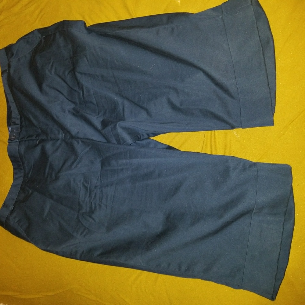 Turquoise Capri pants