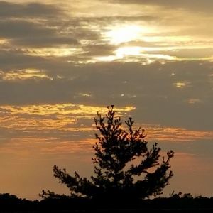 Meet your Posher, Edith