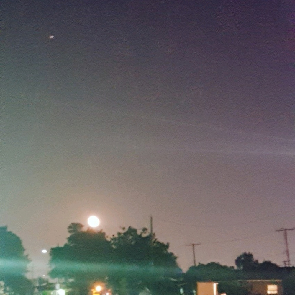 Meet your Posher, Dennice