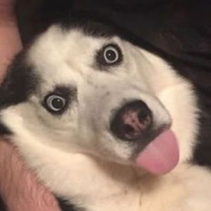 Meet your Posher, Ullie