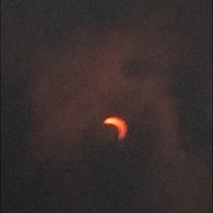 Meet your Posher, Reginald