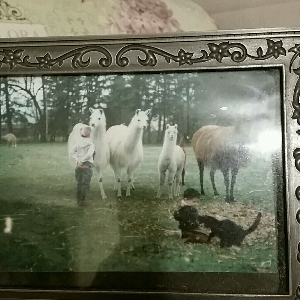 Meet your Posher, Janette