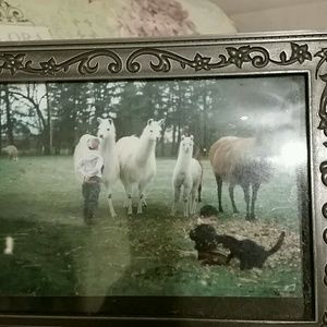 Meet your Posher, Janette