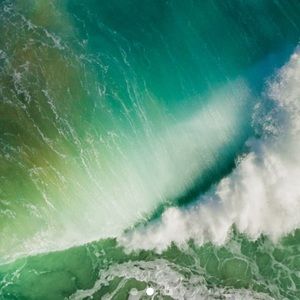 Meet your Posher, Edgar