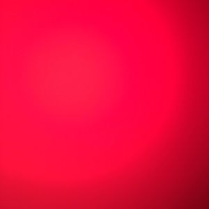 Meet your Posher, Angelina