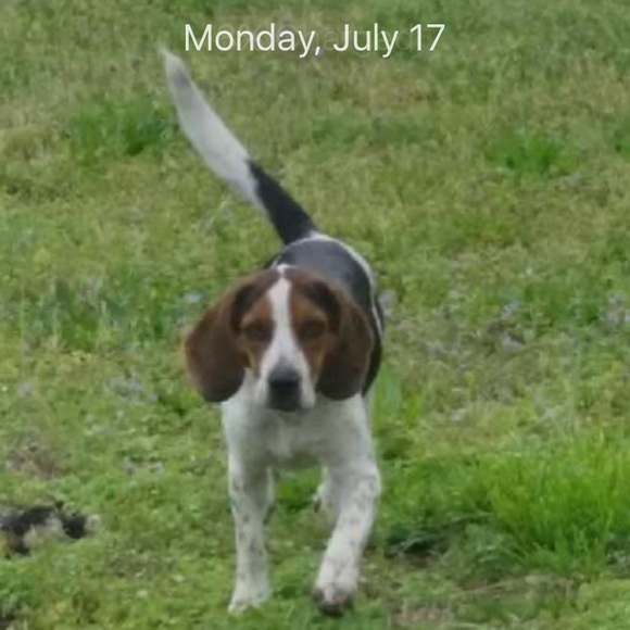 Meet your Posher, Garner - Picture 3 of 7