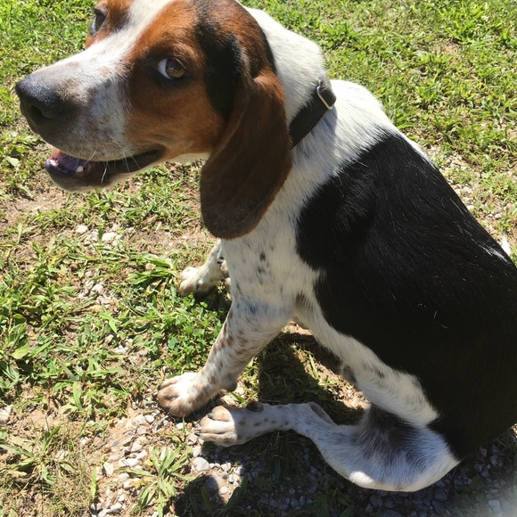 Meet your Posher, Garner - Picture 7 of 7